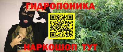 мяу мяу мука Кулебаки