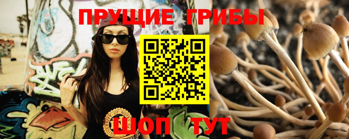 Галлюциногенные грибы Magic Shrooms Дедовск